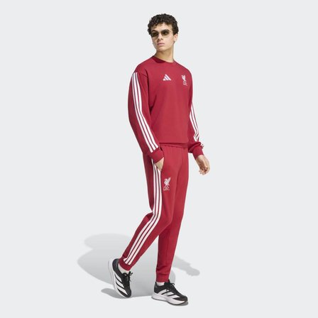ADİDAS KG2498 LFC DNA SWT