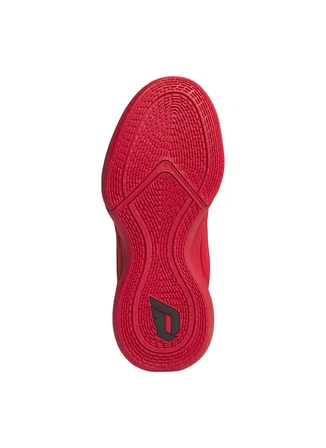 Adidas Kırmızı Erkek Çocuk Basketbol Ayakkabısı JP8639 DAME X J