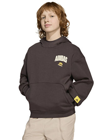 adidas Düz Erkek Çocuk Kahve Sweatshırt JL9181 J SIM HD