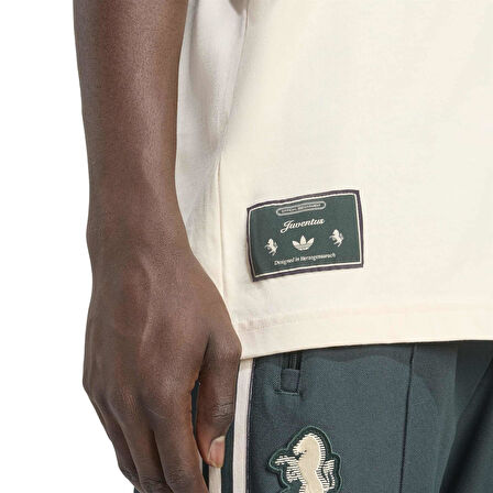 Adidas Erkek Futbol Forma Juventus Icon Tee Jm9453