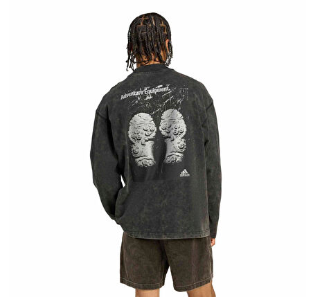 JX1588-E adidas Eqt Graphıc Tee Erkek Sweatshirt Siyah