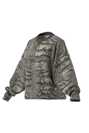 adidas Kadın  Bej  Sweatshirt aSMC LOOSE SS P JW4648