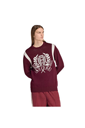 adidas  Erkek Bordo  Sweatshirt GRAPHIC REG JP JX8215