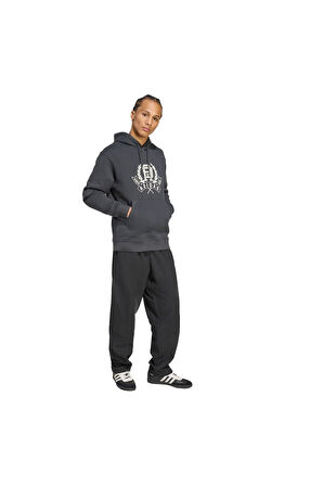 adidas  Erkek  Gri  Sweatshirt GRAPHIC LO HD JX8186