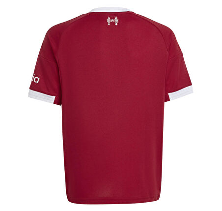 JV6436-C adidas Lfc Liverpool Fc 25-26 İ&amp;ccedil; Saha &amp;Ccedil;ocuk Forma Bordo