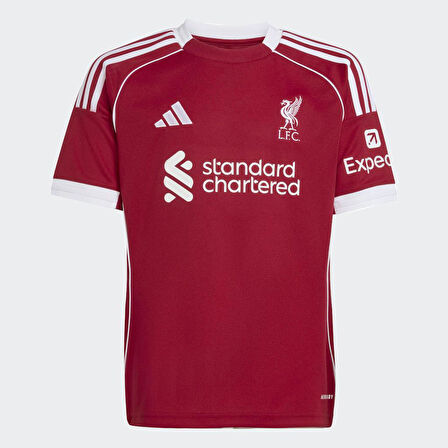 ADİDAS JV6436 LFC H JSY Y