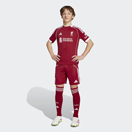 ADİDAS JV6441 LFC H SHO Y
