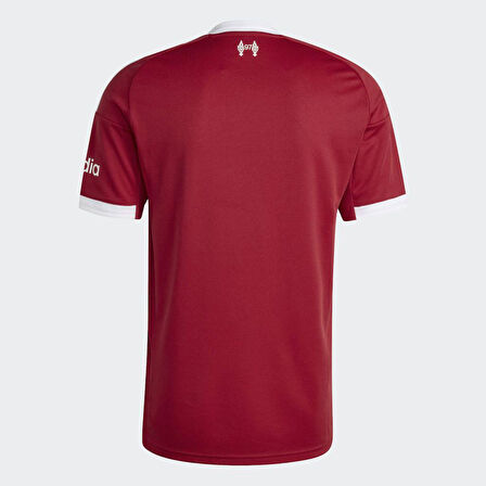 ADİDAS JV6423 LFC H JSY