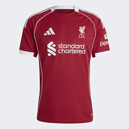 ADİDAS JV6423 LFC H JSY