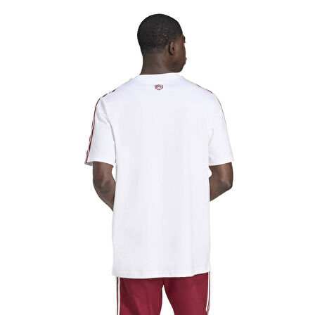 Adidas Erkek Futbol T-shirt Afc Icon Tee Jm9395