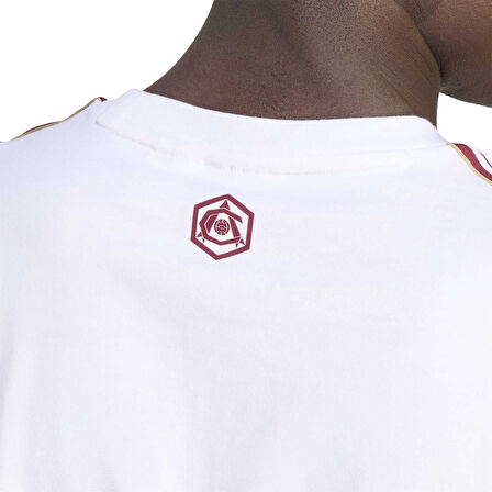 Adidas Erkek Futbol T-shirt Afc Icon Tee Jm9395