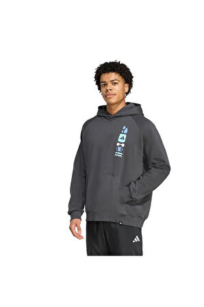 adidas Erkek  Gri  Sweatshirt GFX HOODIE JX1811