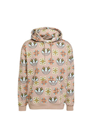adidas Erkek  Kahverengi  Sweatshirt GRAPHIC LO HD JW1084
