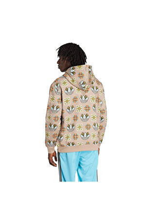 adidas Erkek  Kahverengi  Sweatshirt GRAPHIC LO HD JW1084