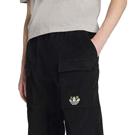 Adidas Erkek Günlük Eşofman Altı Graphic Reg Pt Jy3003