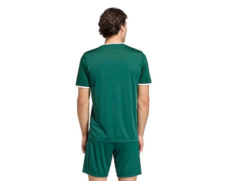Adidas Ent26 Gfx Jsy Erkek Futbol Forması KE7101 Yeşil
