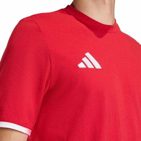 Adidas JZ6676 Ent26 Erkek Spor Tişört