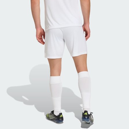 Adidas JZ2516 Ent26 Erkek Spor Şort