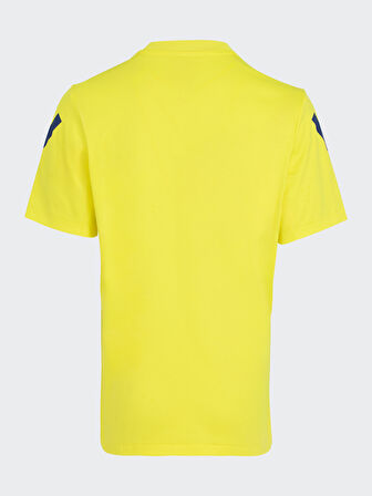 BASKET SARI TSHIRT 25/26