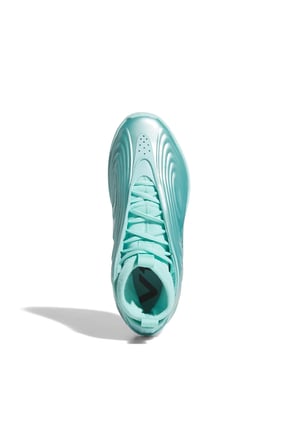 adidas  Basketbol Ayakkabısı HARDEN VOLUME 10 KI1605