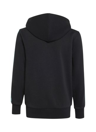 Adidas Siyah Erkek Çocuk Sweatshirt KE5919 MER DNA FZ HD Y