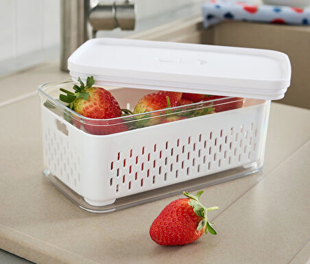 Süzgeçli Saklama Kutusu