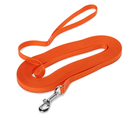 Köpek Tasması