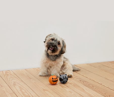Köpek Oyuncağı, 2 Adet