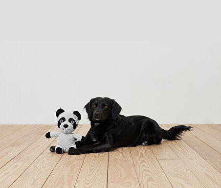 Pelüş Köpek Oyuncağı, Rakun, Geri Dön. PES