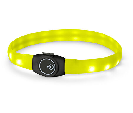 LED’li Köpek Tasması