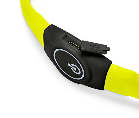 LED’li Köpek Tasması