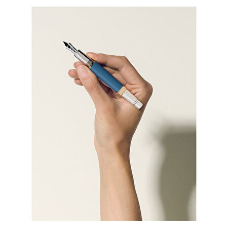 Montblanc Writers Edition Homage to Johann Wolfgang von Goethe Limited Edition Dolma Kalem M Uç 1314