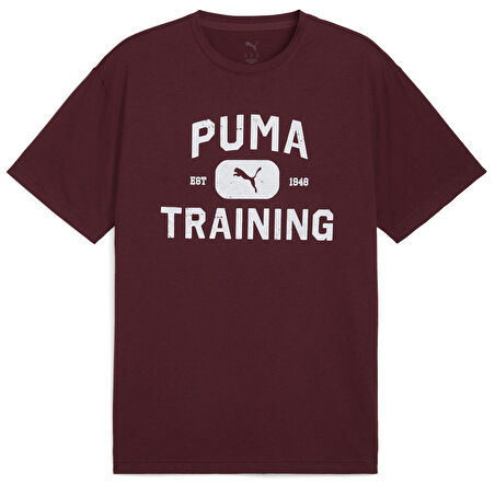 Puma 526568-96 M Graphics Traın Logo Rlxd Tee Tişört Erkek T-Shirt