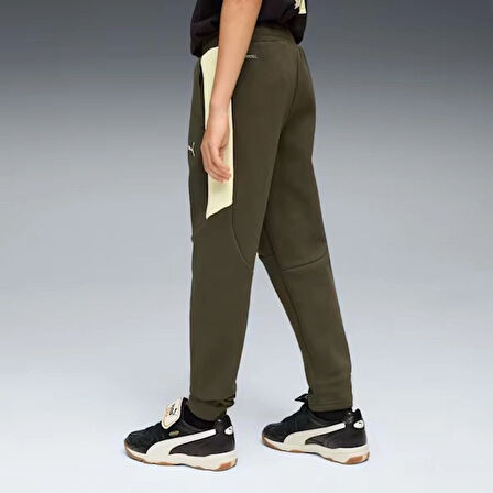 EVOSTRIPE Pants DK
