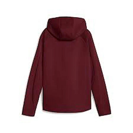 EVOSTRIPE Full-Zip Hoodie