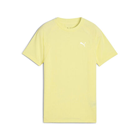 EVOSTRIPE Tee