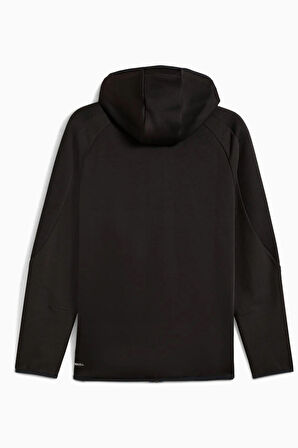 EVOSTRIPE FZ Hoodie DK