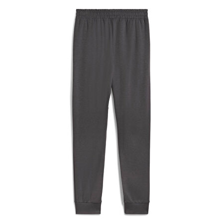 Puma Erkek Eşofman Alt Pumatech