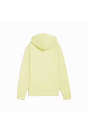ESS NATURE 2.0 Hoodie  Kadın Sweatshirt 68807935