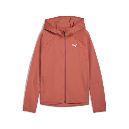 PUMA EVOSTRIPE Full-Zip  Hoodie KADIN SWEATSHIRT 68814560