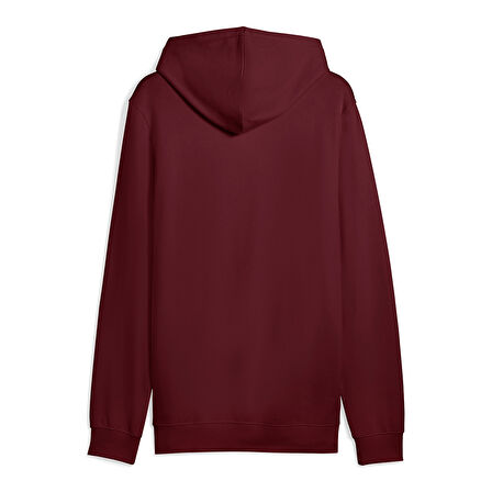 Ess Elevated Hoodie Erkek Bordo Günlük Stil Sweatshirt 68472896