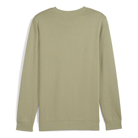 Ess Elevated Crew Erkek Yeşil Günlük Stil Sweatshirt 68472782