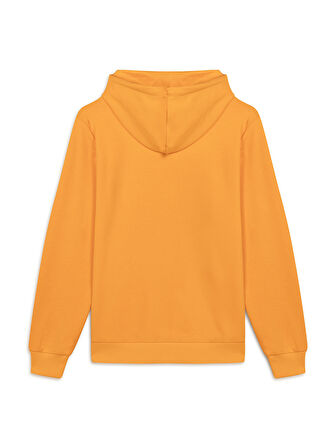 Galatasaray Puma Culture Kapüşonlu Sweatshirt 78291806