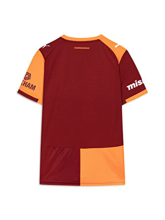 Galatasaray Puma 2025/2026 İç Saha Parçalı Forma 77980901