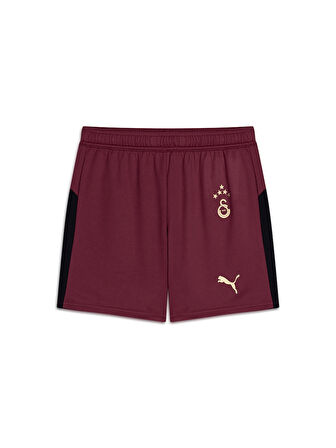 Galatasaray Puma 2025/2026 Çocuk Alternatif Şort 77982403