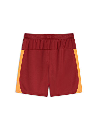 Galatasaray Puma 2025/2026 İç Saha Parçalı Şort 77982301