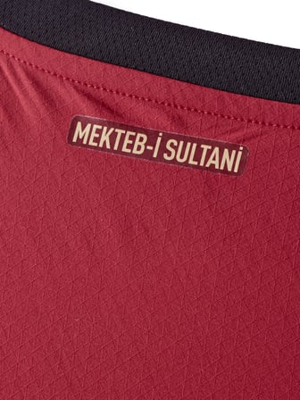 Galatasaray Puma 2025/2026 Alternatif Profesyonel Forma 78062803