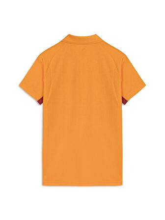 Galatasaray Puma A Takım Polo T-Shirt 78290506
