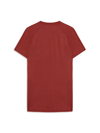 Galatasaray Puma A Takım T-Shirt 78290601