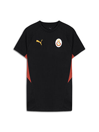Galatasaray Puma A Takım T-Shirt 78290605